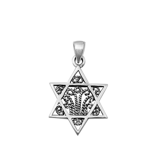 Sterling Silver Classic Pendant Jewish Star of David Rope Charm 925 New
